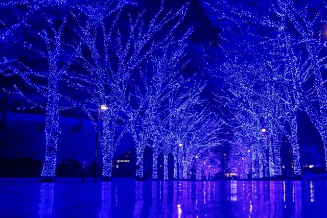 クリスマスイルミネーション 渋谷 青の洞窟 | 交際クラブ・デートクラブのデートで使えそうなイルミネーション♪ | 高級交際クラブTen Carat「10カラットブログ」
